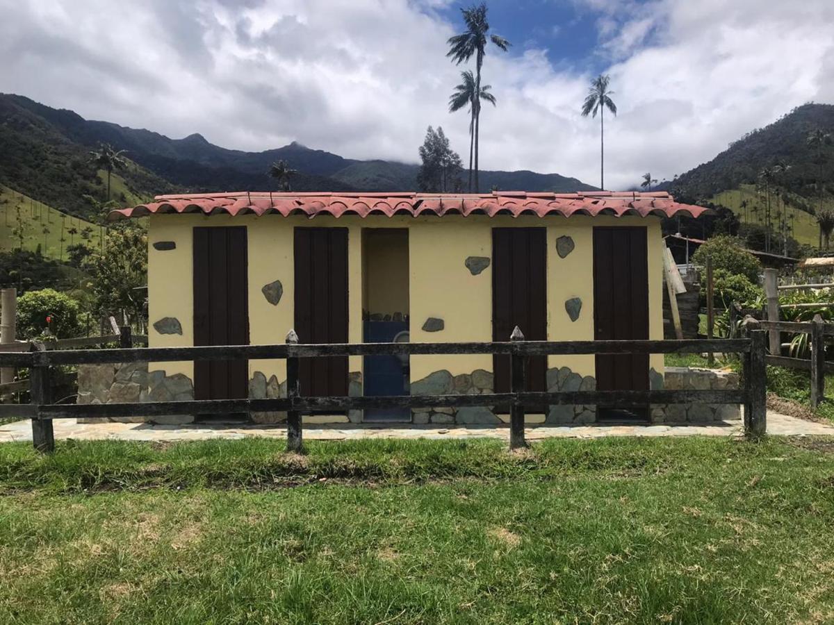 Refugio Nidos Del Condor Cocora Salento Exterior photo